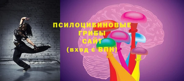 дживик Абаза