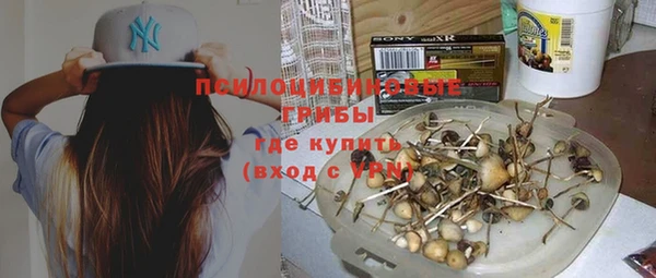 дживик Абаза